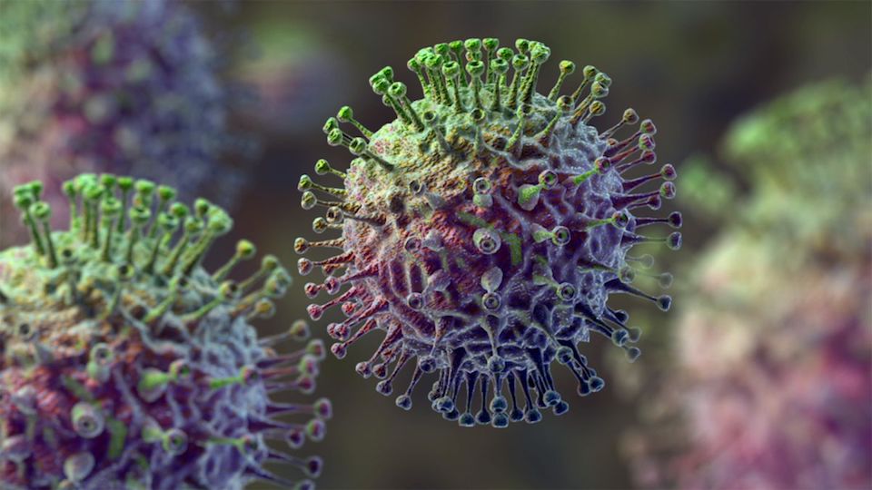 Un Virus Mortal Se Propaga En Eeuu Y Ya Ha Infectado A 15 Millones De Personas No Es El