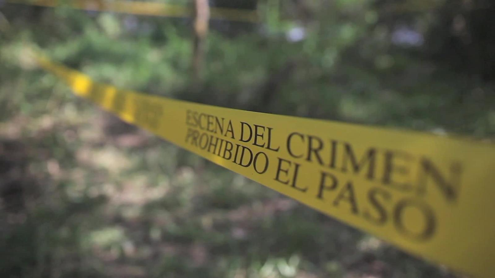Investigate homicide of 12 people in the state of Veracruz, Mexico