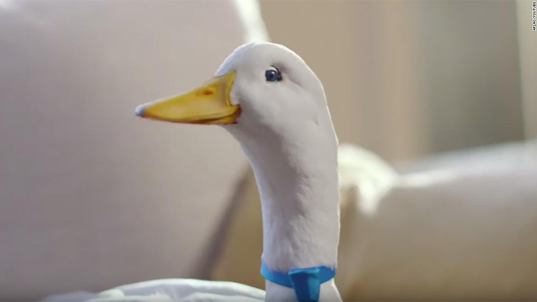 aflac duck sound wav file