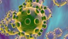 México: Investigan un nuevo caso de posible coronavirus
