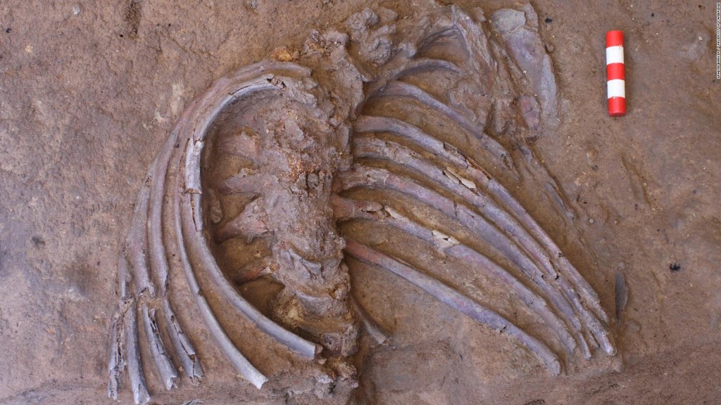 Esqueleto de 70.000 años revela información sobre ritos