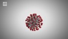 ¿Cuál es el periodo de incubación del coronavirus?