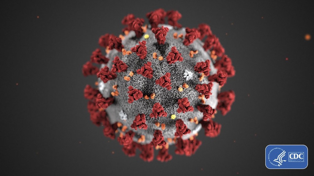 TOPSHOT - This handout illustration image obtained February 3, 2020, courtesy of the Centers for Disease Control and Prevention, and created at the Centers for Disease Control and Prevention (CDC), reveals ultrastructural morphology exhibited by coronaviruses. - Note the spikes that adorn the outer surface of the virus, which impart the look of a corona surrounding the virion, when viewed electron microscopically. A novel coronavirus virus was identified as the cause of an outbreak of respiratory illness first detected in Wuhan, China in 2019. (Photo by Alissa ECKERT / Centers for Disease Control and Prevention / AFP) / RESTRICTED TO EDITORIAL USE - MANDATORY CREDIT "AFP PHOTO /CENTERS FOR DISEASE CONTROL AND PREVENTION/ALISSA ECKERT/HANDOUT " - NO MARKETING - NO ADVERTISING CAMPAIGNS - DISTRIBUTED AS A SERVICE TO CLIENTS (Photo by ALISSA ECKERT/Centers for Disease Control and /AFP via Getty Images)