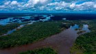 Amazonas: ¿la selva que podría ser sabana?