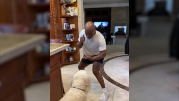 Mike Tyson "entrena" con su perro