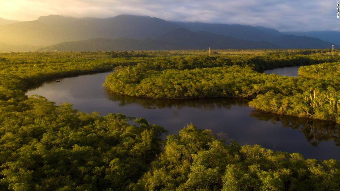 Si el Amazonas cruza el punto de no retorno podría desaparecer en apenas  décadas | CNN