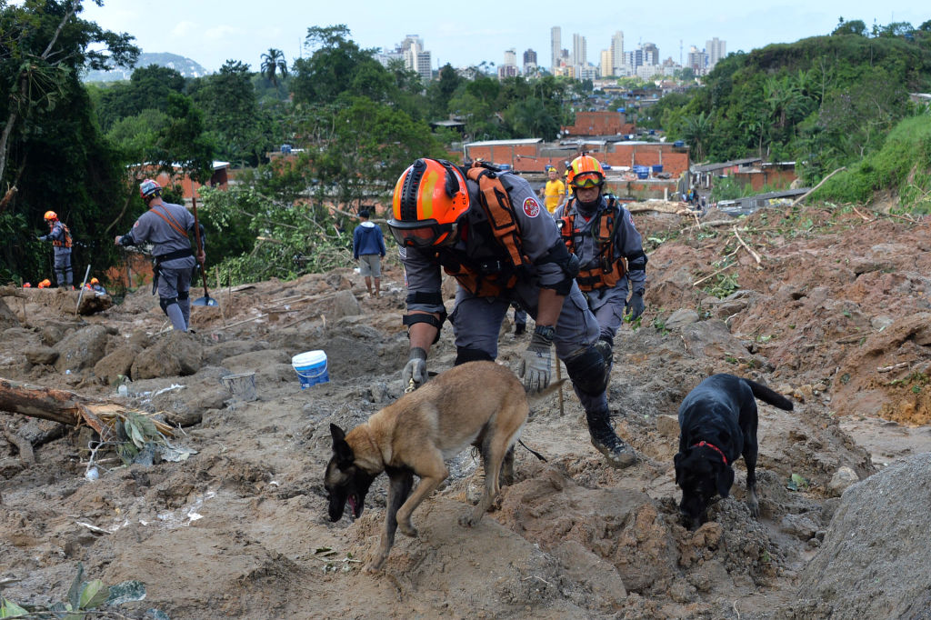 Firefighters with sniffer dogs search for victims of a landslide triggered by torrential rains during the week-end, in Barreira do Joao Guarda, a favela in Guaruja, 95 km from Sao Paulo, Brazil, on March 4, 2020. - More than 20 people have been killed in torrential rain that hit the Brazilian states of Sao Paulo and Rio de Janeiro in the past days, triggering flash floods and destroying houses, authorities said. (Photo by Nelson ALMEIDA / AFP) (Photo by NELSON ALMEIDA/AFP via Getty Images)