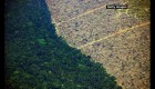 Brasil: Aumenta deforestación en la Amazonía