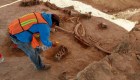 México halla restos de mamut en obra del nuevo aeropuerto