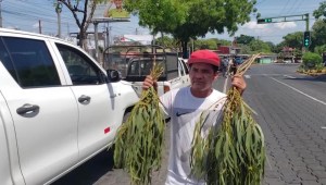 Crisis de salud en Nicaragua provoca la compra de remedios en las calles