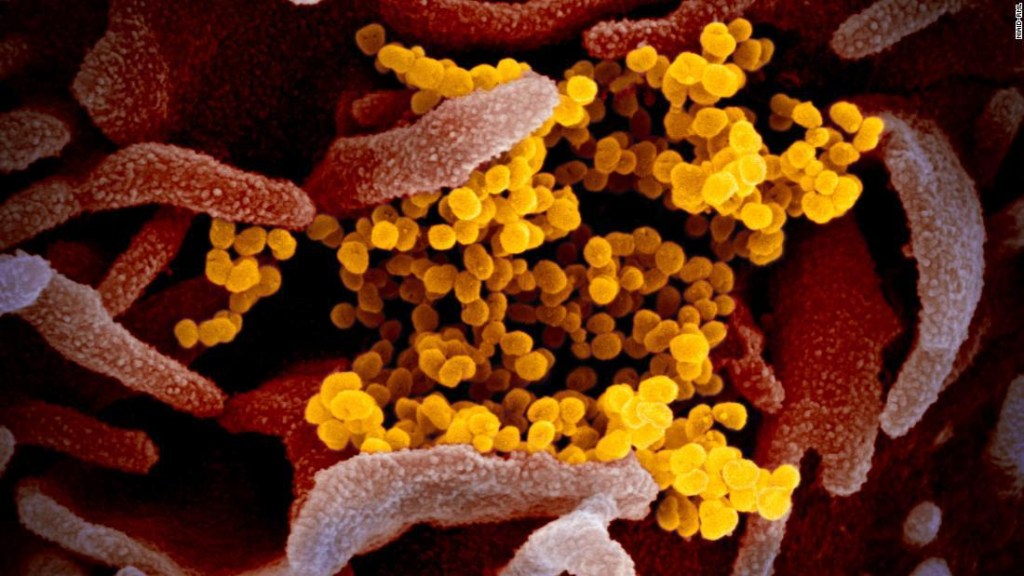 coronavirus - expertos - peligro potencial