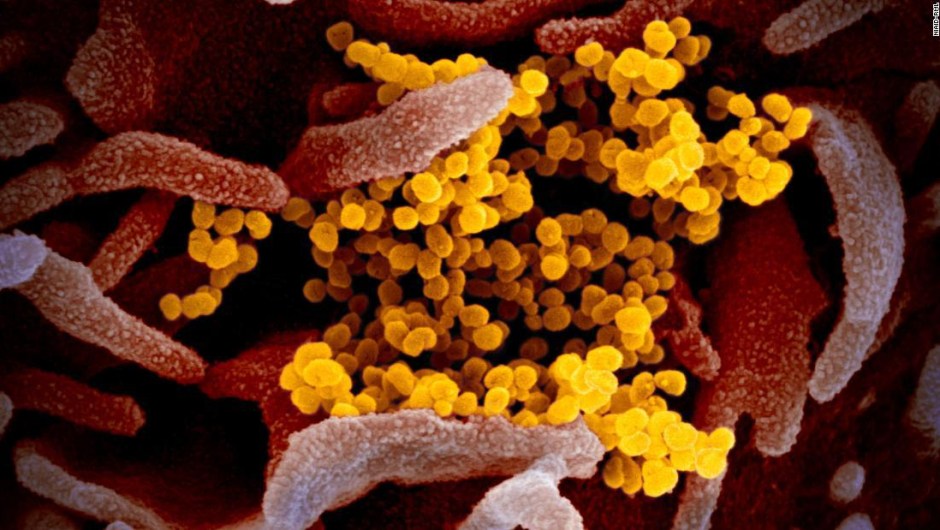 coronavirus - expertos - peligro potencial