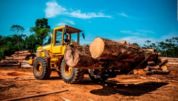 Deforestación alcanzó su peor registro en el 2019