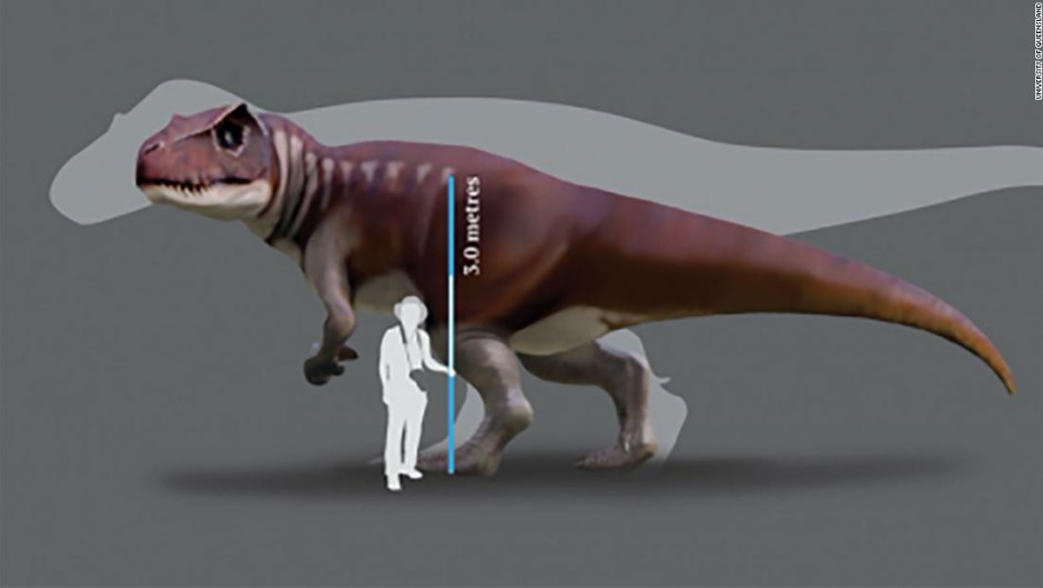 Dinosaurio carnívoro - Australia