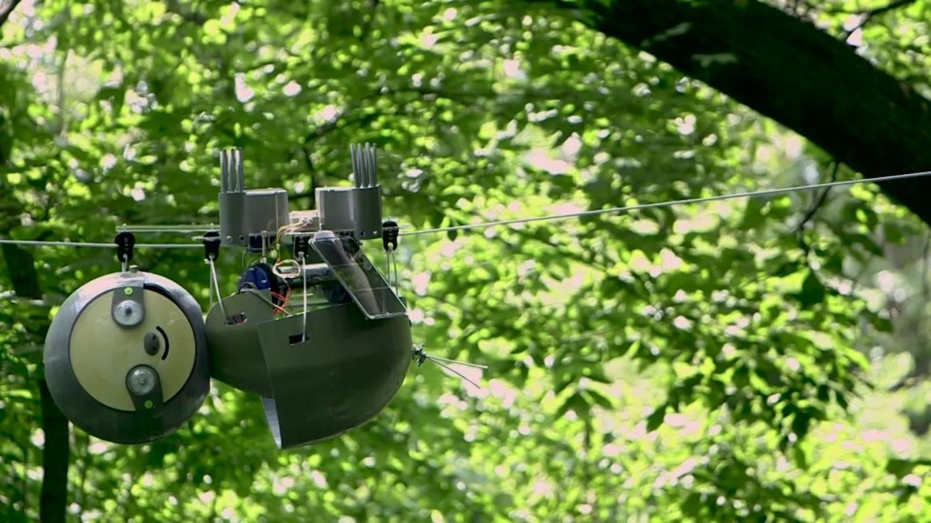 El perezoso robótico que busca monitorear especies