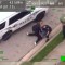 Un video graba a un policía en Florida arrodillado sobre el cuello de un hombre durante un arresto
