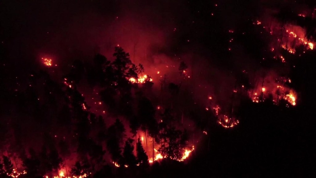 Imágenes de los incendios forestales en Rusia