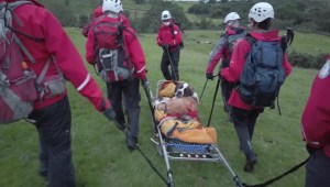 Perra san bernardo rescatista es rescatada en Inglaterra