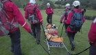 Perra san bernardo rescatista es rescatada en Inglaterra