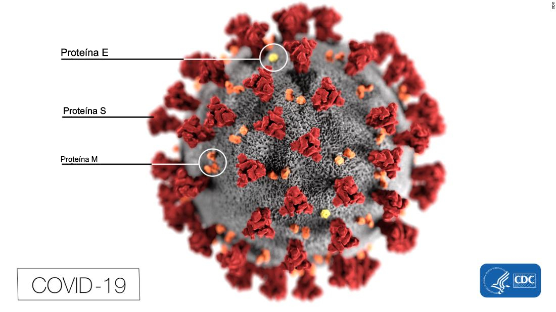 El ABC Del Coronavirus: Qué Es, Cómo Se Contagia, A Quién Afecta Y Cómo ...