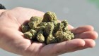 Máquinas expendedoras de marihuana llegan a Colorado