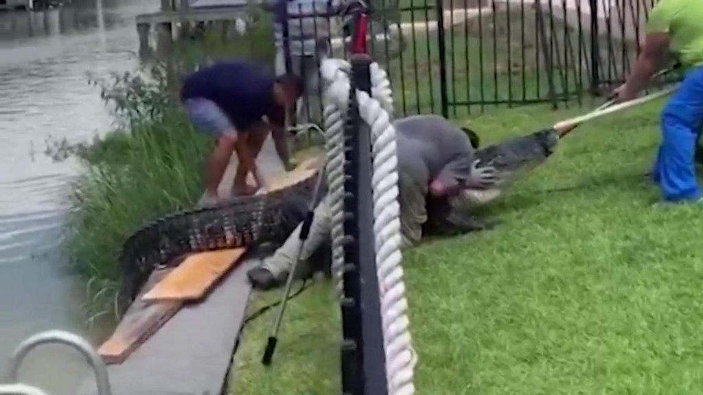 Padre salva a su hija de un enorme caimán