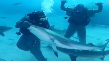 Mira cómo Mike Tyson se asusta con tiburones