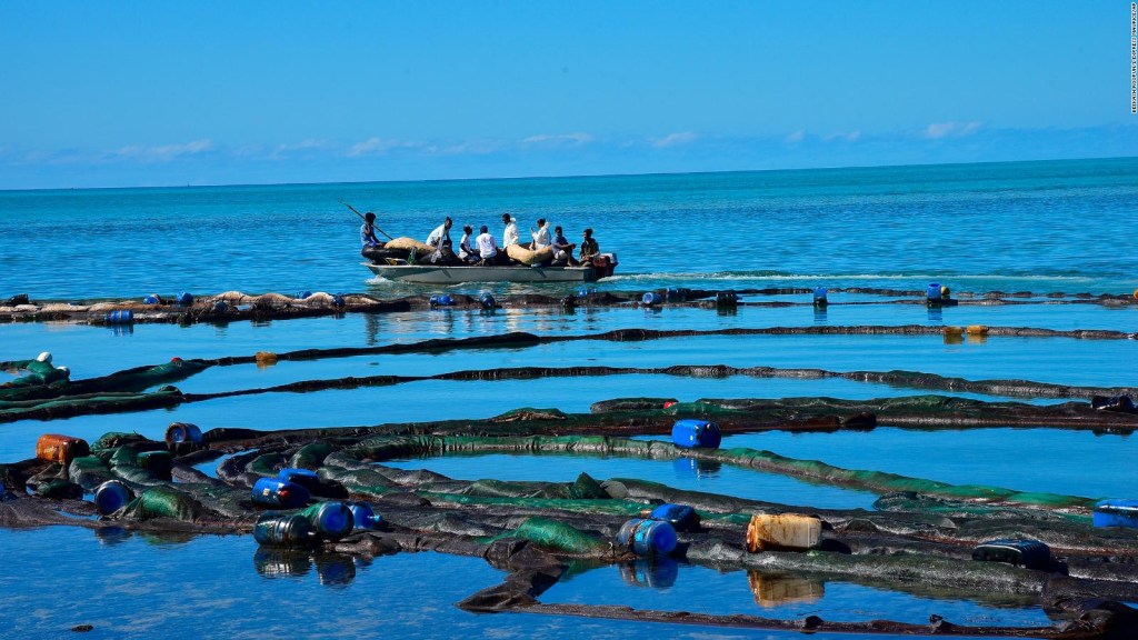 Catástrofe ecológica en la Isla Mauricio