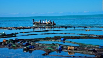 Catástrofe ecológica en la Isla Mauricio