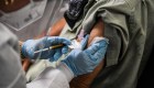 Vacuna contra el covid-19: ¿a quién dársela primero?