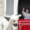 Vaticano anuncia reaparición en público del papa