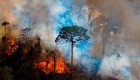 Los incendios en el Amazonas podrían ser peores este año