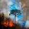 Los incendios en el Amazonas podrían ser peores este año