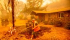 Incendios forestales california afectados hectáreas kilómetros cuadrados fotos videos
