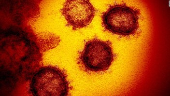 ¿Algunas personas tienen protección contra el coronavirus?