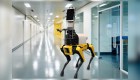 Investigadores crean robot enfermero para covid-19