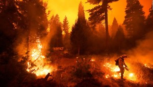 California, bajo récord de incendios
