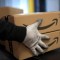 Amazon prohíbe venta de semillas extranjeras en EE.UU.