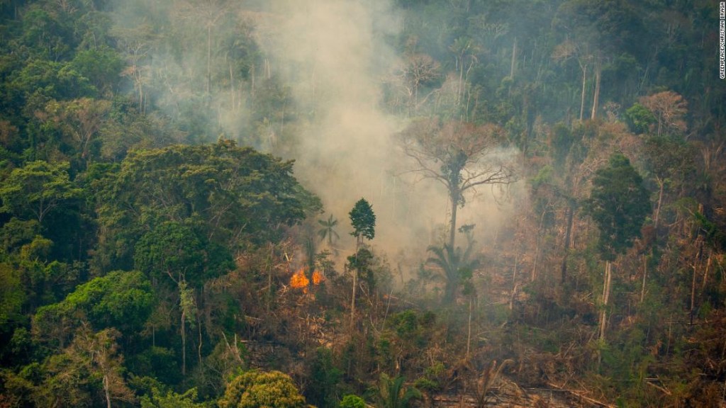 Decenas de miles de incendios en el Amazonas están llevando a la región a un punto donde no podrá producir suficiente lluvia para sostenerse