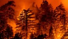 Incendios en la costa oeste de EE.UU.: un mes de infierno