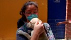 Crisis por covid-19 dio un hogar a perros de la calle