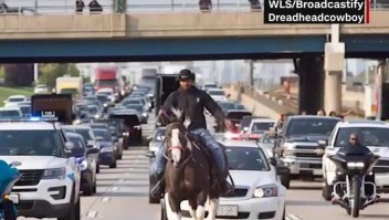 Chicago: detienen a vaquero que cabalgaba por autopista