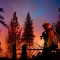 Incendios forestales alcanzan cifras récord en 2020