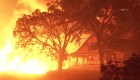 Incendios en California arrasan la zona vinícola