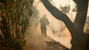 5 cosas: Incendios consumen más de 18.000 hectáreas