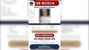 Detenido presunto homicida de una joven en Michoacán