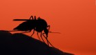 Se insta a los habitantes de Michigan a permanecer en el interior mientras los funcionarios se apresuran a detener la propagación de una peligrosa enfermedad transmitida por mosquitos