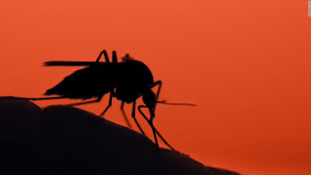 Insta a los habitantes de Michigan a permanecer en el interior mientras los funcionarios prevengan detener la propagación de una peligrosa enfermedad transmitida por mosquitos