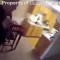Vice News publica un video de cámara corporal que pretende mostrar momentos después de que policías allanaron el apartamento de Breonna Taylor