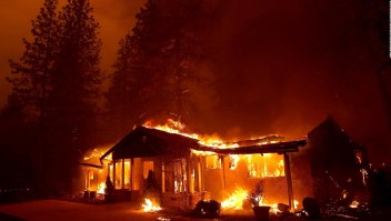Lluvia en California, ¿ayuda contra incendios forestales?